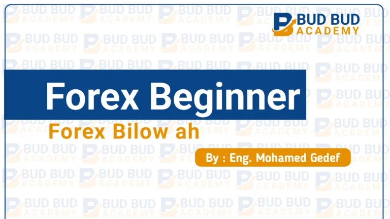Beginner Forex | Forex Bilow ah