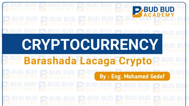 Crypto Currency Course