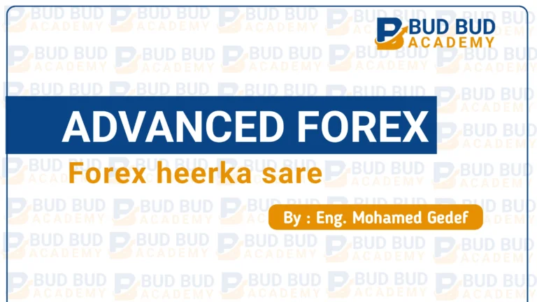 Advanced Forex trading
